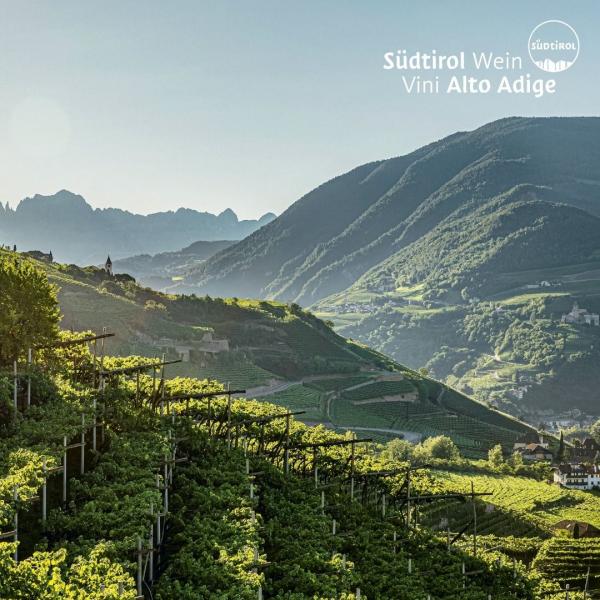UGA Alto Adige: il territorio prende forma in etichetta